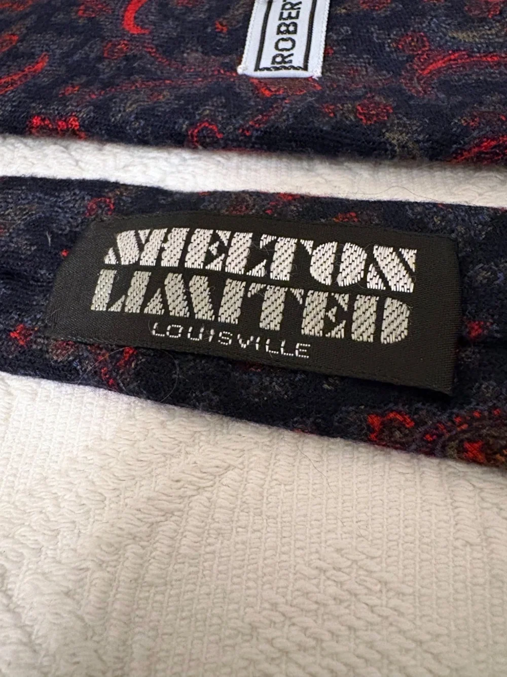 Robert Talbott Shelton Ltd Luxury Cashmere Silk Paisley Tie